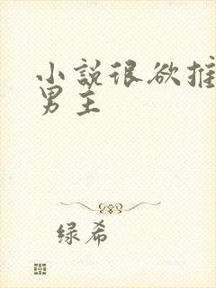 小说很欲推荐双男主