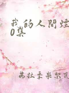 我的人间烟火20集