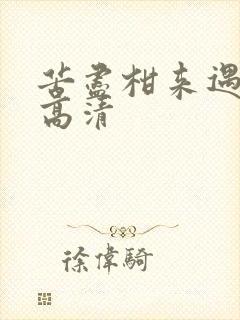 苦尽柑来遇见你高清