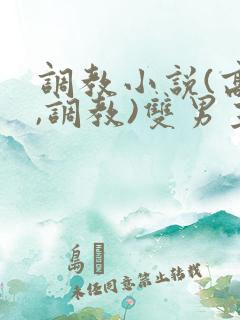 调教小说(高h,调教)双男主