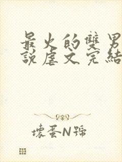 最火的双男主小说虐文完结受推文