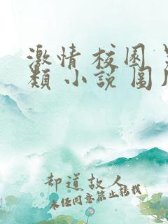 激情 校园 另类 小说 图片