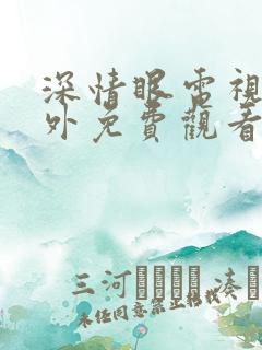 深情眼电视剧番外免费观看全集高清版