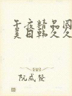 午夜精品国产欧美日韩久久