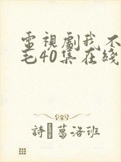 电视剧我不是王毛40集在线观看