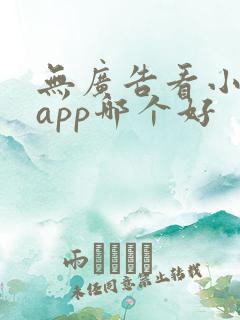 无广告看小说的app哪个好