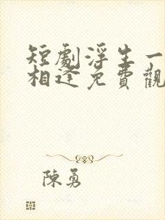 短剧浮生一别又相逢免费观看