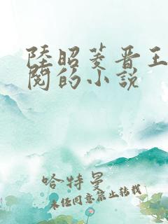 陆昭菱晋王周时阅的小说