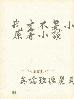 我才不是小可怜原著小说