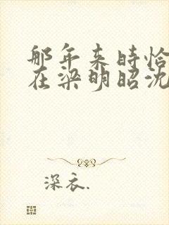 那年来时恰逢你在梁明昭沈砚卿全集阅读