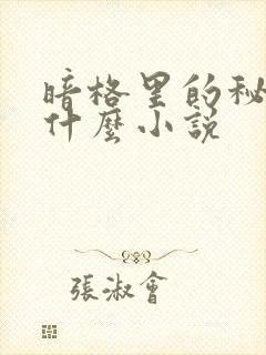 暗格里的秘密是什么小说