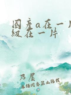 国产a在一片一级在一片