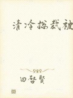 清冷总裁被调教