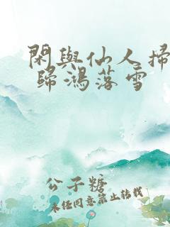 闲与仙人扫落花 归鸿落雪