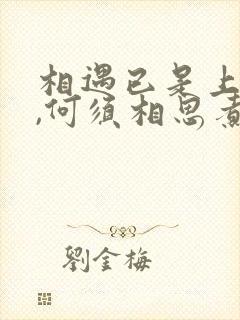 相遇已是上上签,何须相思煮余年全文