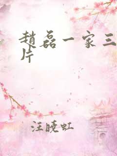 赵磊一家三口照片