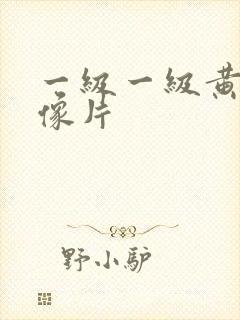 一级一级黄色录像片