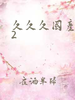 久久久国产精品2