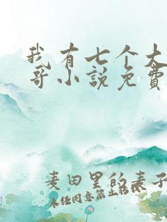 我有七个大佬哥哥小说免费看