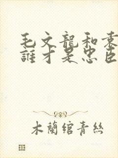 毛文龙和袁崇焕谁才是忠臣