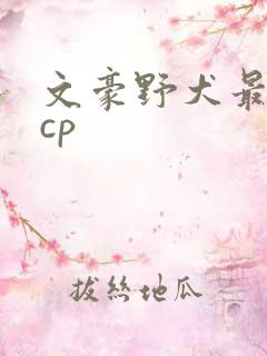文豪野犬最火的cp