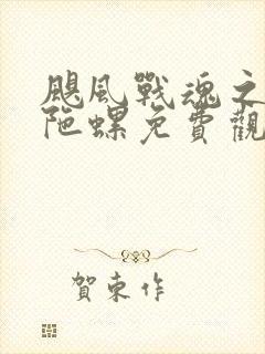 飓风战魂之剑旋陀螺免费观看