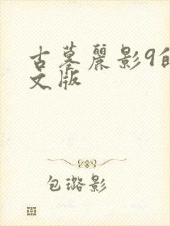 古墓丽影9的中文版