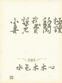 小说我的极品娇妻免费阅读