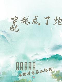 穿越成了炮灰女配