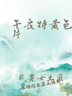 午夜特黄色一级片