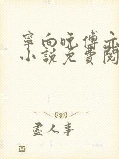 宁向晚傅亦铭的小说免费阅读