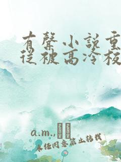 有声小说重生:从被高冷校花倒追开始