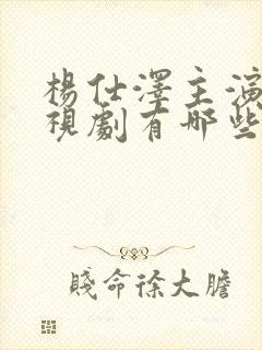 杨仕泽主演的电视剧有哪些