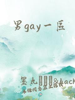 男gay一区