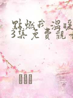 点燃我温暖你13集免费观看