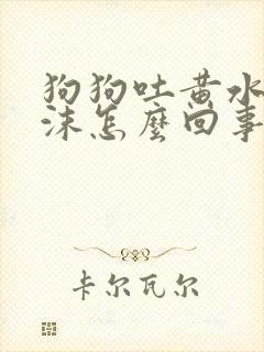 狗狗吐黄水带泡沫怎么回事