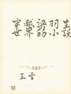 穿越梁羽生武侠世界的小说