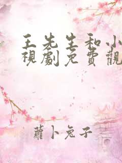 王先生和小陈电视剧免费观看