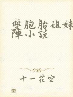 双胞胎姐妹齐上阵小说