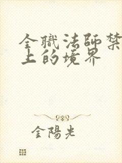 全职法师禁咒之上的境界