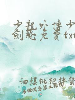 少龙外传少年龙剑飞免费txt