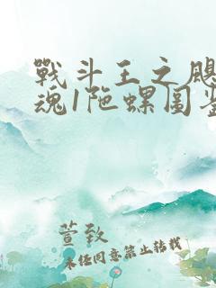 战斗王之飓风战魂1陀螺图鉴