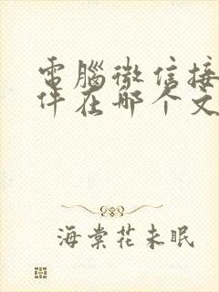 电脑微信接收文件在哪个文件夹