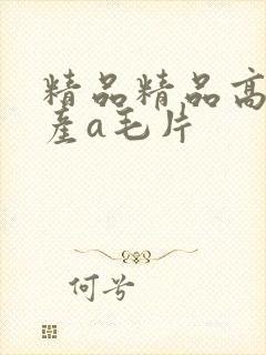 精品精品高清国产a毛片