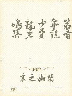 鸣龙少年第24集免费观看