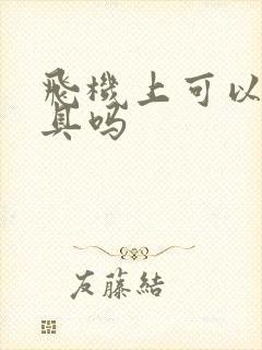 飞机上可以带玩具吗