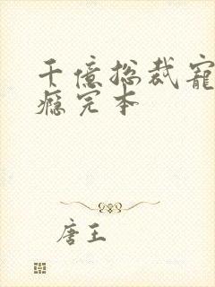 千亿总裁宠妻上瘾完本