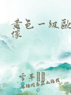 黄色一级欧美录像