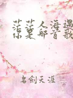 茫茫人海遇见了你是哪首歌的歌词