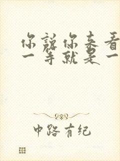 你说你来看我,一等就是一年多歌名是什么